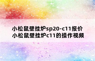 小松鼠壁挂炉sp20-c11报价 小松鼠壁挂炉c11的操作视频